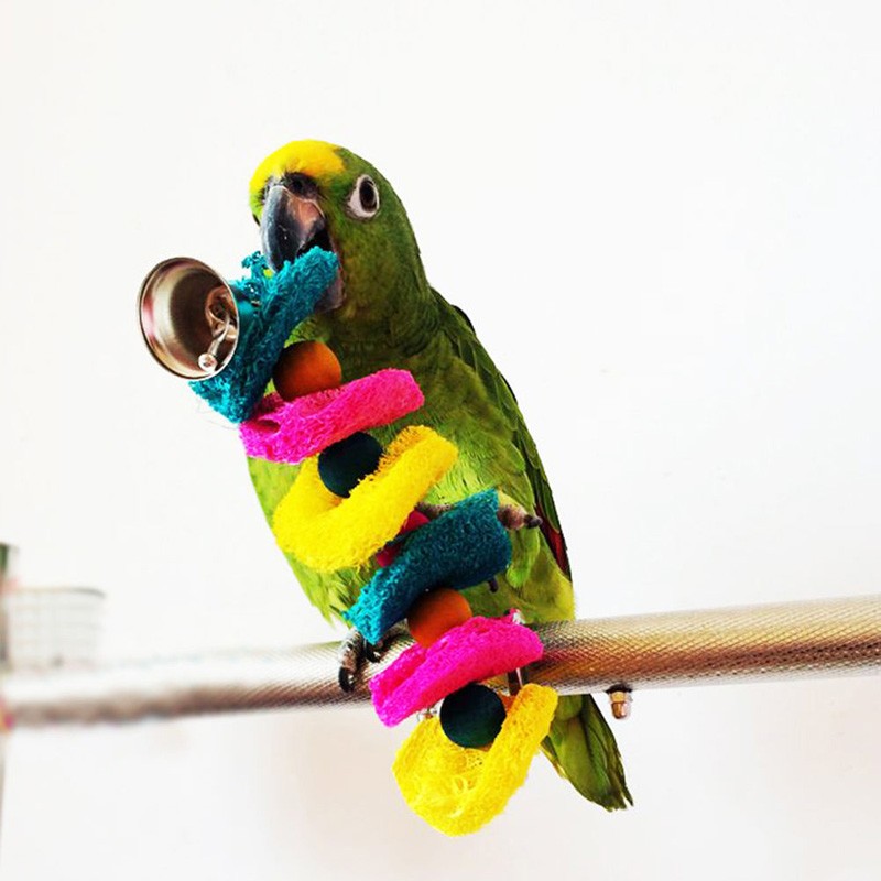 Pet-Bird-Parrot-Parakeet-Budgie-Cockatiel-Cage-Hammock-Swing-Toy-Hanging-Toy-Chew-Toy-Free-Shipping (1)