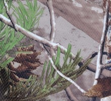 HTB1Pxu6MXXXXXabXpXXq6xXFXXXi