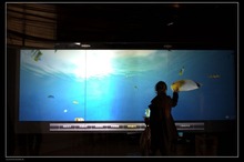 Best price 100 inch interactive touch foil, High Quality nano-tech touch foil through LCD or projector (window shop display)