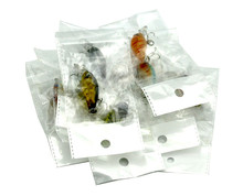 HTB1QUbIOXXXXXaDXXXXq6xXFXXX7