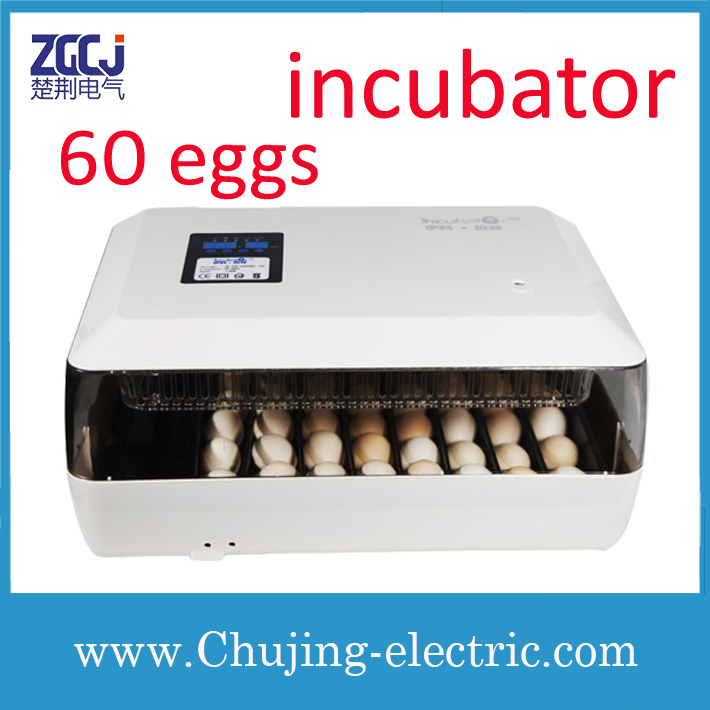 Dual power egg incubator for 60 eggs breeding chicken duck incubator 