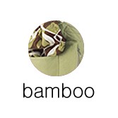 bamboo