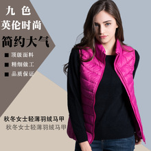 High quality 2016 women duck down jacket sleeveless casual warm slim female clothes down vest stand collar fill white duck down