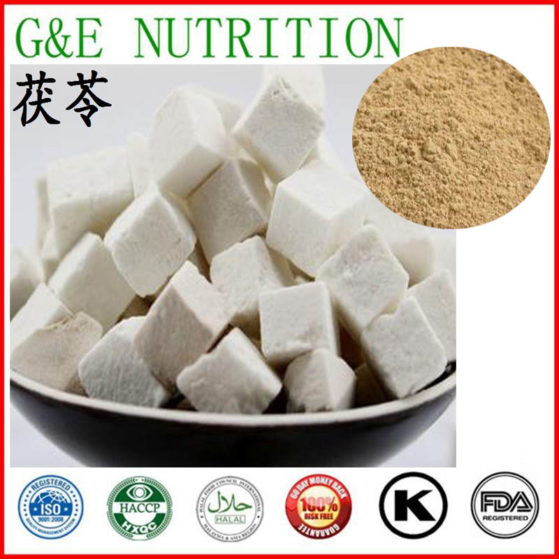 600g Pure Wolfiporia extensa/ Poria cocos/ Fuling/ Tuckahoe/ Pachyme Extract with free shipping