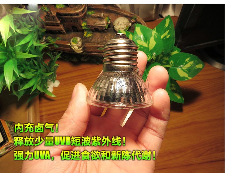 Sunning Heat Lamp 25~75 Watt Bulb, emits a broad-spectrum light, Provided A Basking Lamp Reptiles, Amphibians, And other Animals2