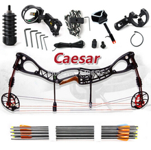 2015 NEW,Caesar, Freeshipping Hunting Bow arrow Set, Caesar Compound Bow,bow And Archery Set