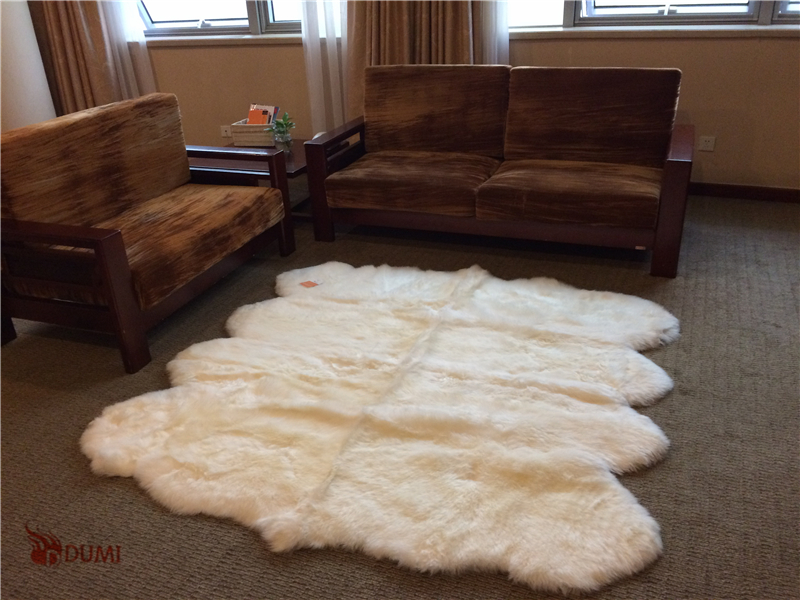 Sheepskin Rugs For Dogs Australia Division Of Global Affairs Compare Prices On Large Wool Rugs Online Ping Low Price Sheepskin