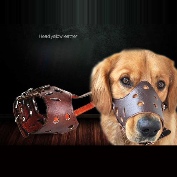 TB25wfVeXXXXXaKXXXXXXXXXXXX_!!379748778