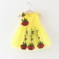 Baby Girl Dress Summer 2017 Cute Toddler Girls Clothes Lace Tutu Dress Newborn Vestidos Infant 1