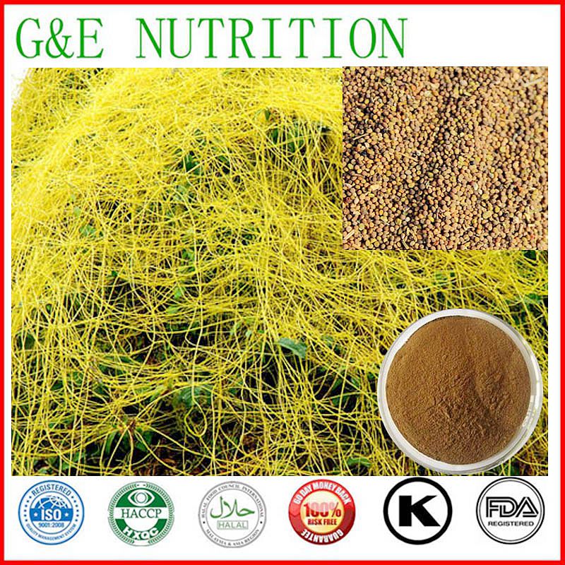 GMP Factory China supplier best quality dodder seed extract 900g
