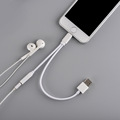 NEW 2 In 1 for Lightning To 3 5mm Earphone Headphone Audio Jack and Charger Adapter
