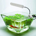 2 5W 48LED AC110 220V Aquarium Light Fish Tank Lamp and Flexible clip on Aquarium Lamp
