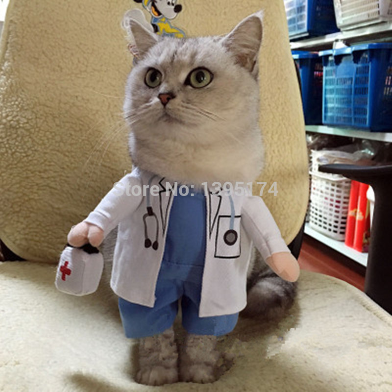 Костюм кошке своими руками картинки Костюм кошке своими руками картинки