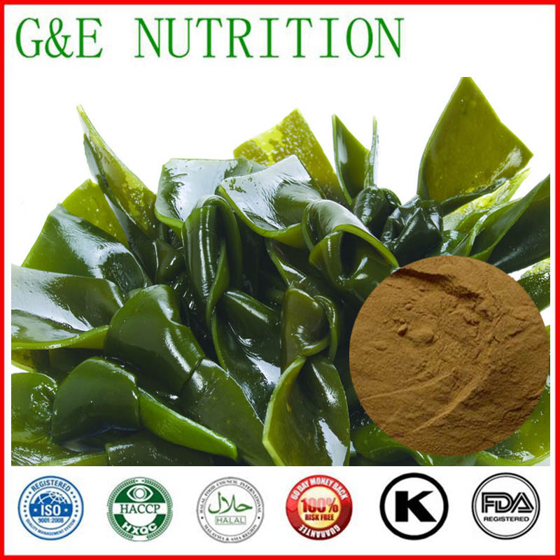1000g Kelp/ Seaweed/ kombu/ Laminariaceae Extract with free shipping