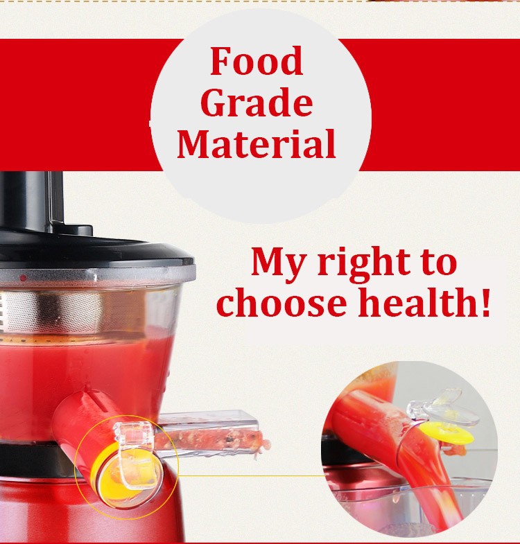 Healthy Living Slow Juicer Stainless Steel Natural Juice Extrator /Maker Lazada Malaysia