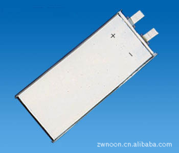 Lithium polymer battery PL904396