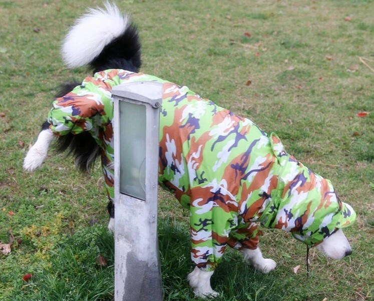 Новый плащ собака pet Одежда водонепроницаемая одежда собак одежда Толстовки для животных летом и весной ПЭТ сиамские плащи ноги Новый плащ собака pet Одежда водонепроницаемая одежда собак одежда Толстовки для животных летом и весной ПЭТ сиамские плащи ноги