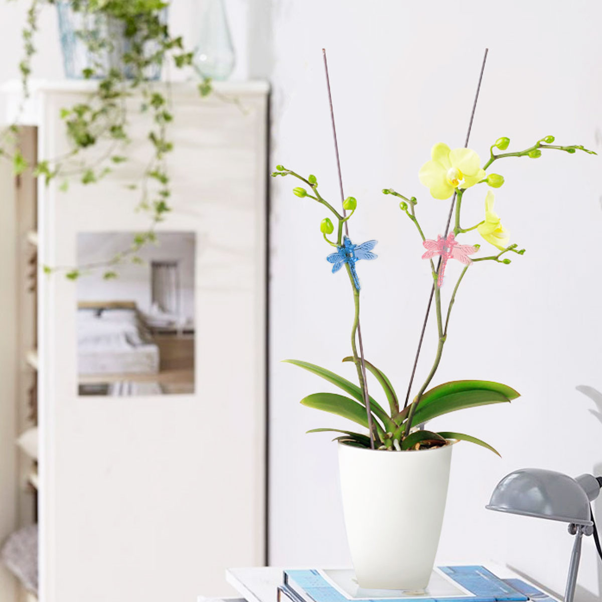 100x/Bag Garden Plant Support Clips Flower Orchid Stem Clips for Vine SuY_lp 