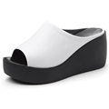 2017 Summer Slippers Sponge Thick High Heeled Platform Shoes Fashion Fish Mouth High Heeled Sandals With
