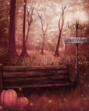 5x7ft Thin vinyl cloth photography costume custom halloween backdrop photo studio free shipping HA-010