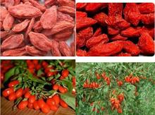 free shipping by singapore post!!! 500g Finest Sun Dried Goji Berries, wolfberry ,280 grade, i.e. 280 berries per 50 grams.