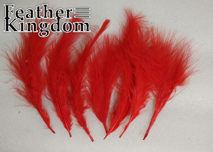 red Turkey feather