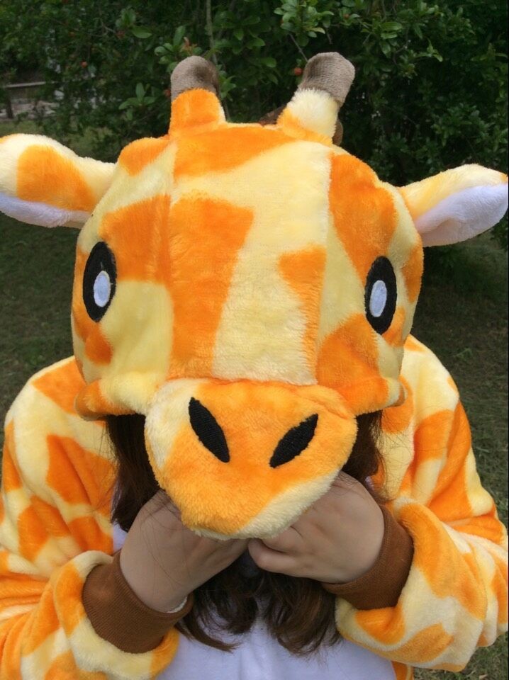 Giraffe 7