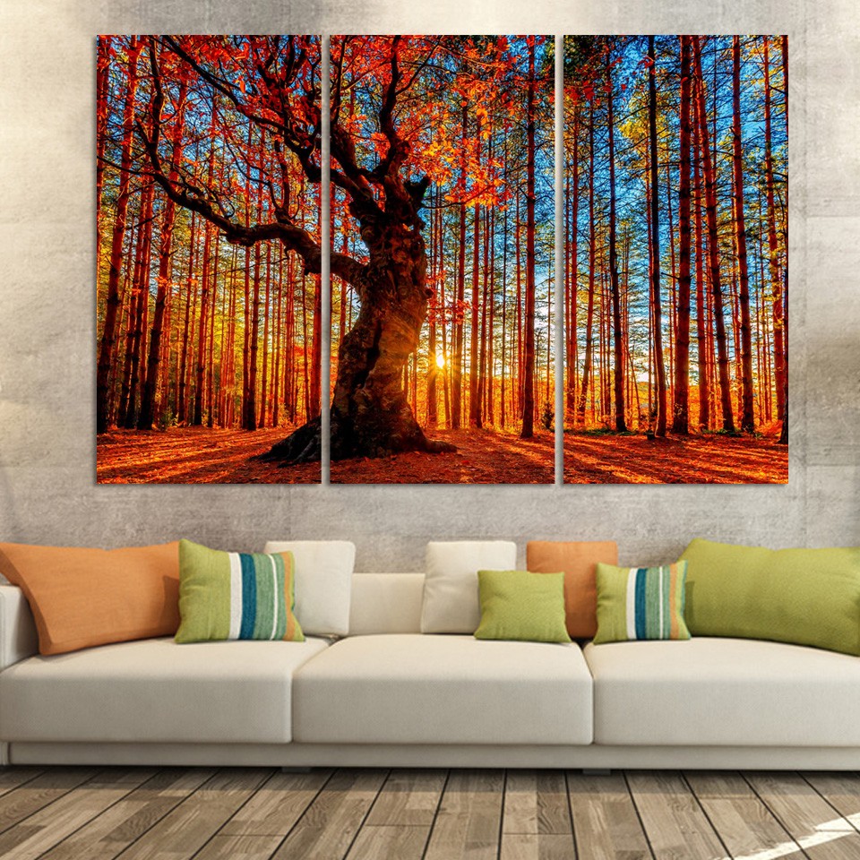 Pictures van zonlicht promotie winkel voor promoties pictures van ...