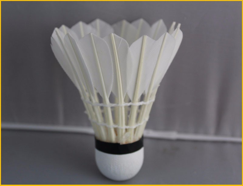 1959684435_984585881