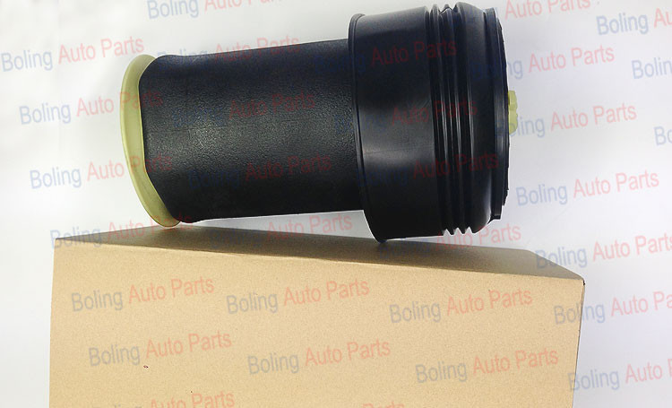 5-series GT F07 Air spring 2 (2)