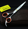 Hot Sale Cutting Scissors JASON Hair Scissors Hairdressing Scissors Human Hair Shears 5 5Inch 6Inch 1pcs