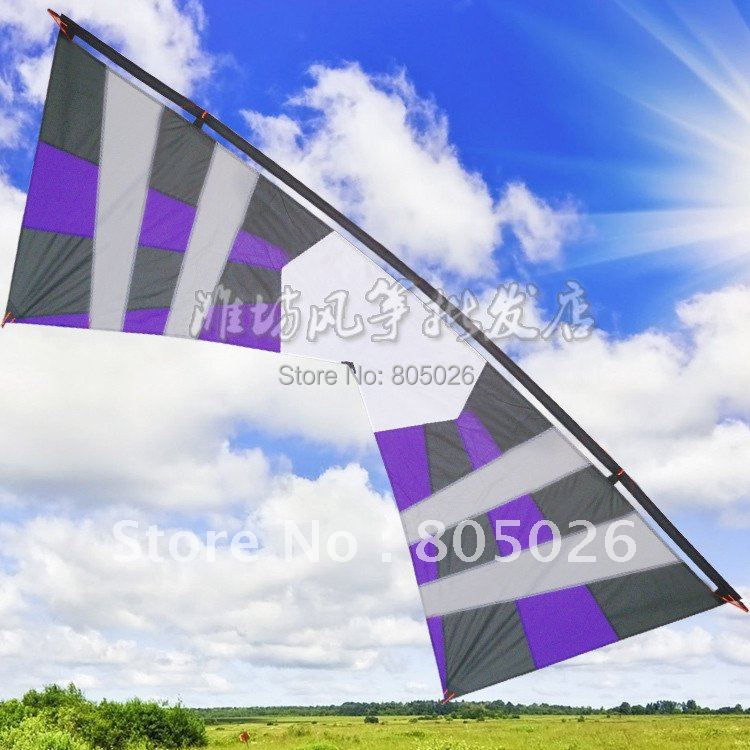 free shipping high quality 2.4m quad Line traction Stunt kite factory