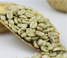 454g 100 Pure Typica Old Varieties Yun Nan Arabica Coffee Raw Bean 2013 Green Coffee Beans