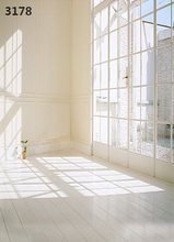 220CM * 150CM new2075 vinyl photography backdrops photo studio photographic background windows & sunshine