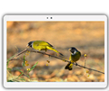 Newest Computer K109 4G LTE Android 6 0 10 1 inch tablet pc octa core 4GB