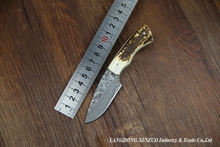 2015 NEW XINZUO Damascus steel Fixed blade Knives with Natural antlers Handle High Quality hunting knife