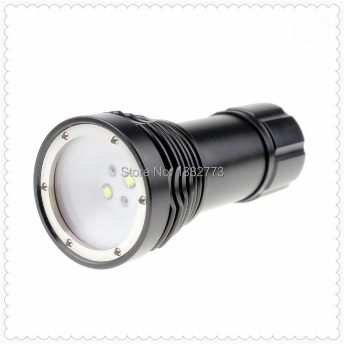 OEM D32VR flashlight (9).jpg
