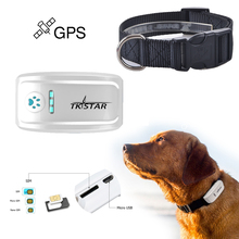 GPRS Tracking System for Pets