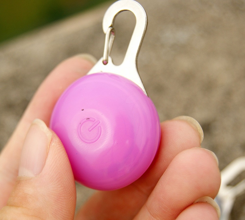 1264920462_973929501