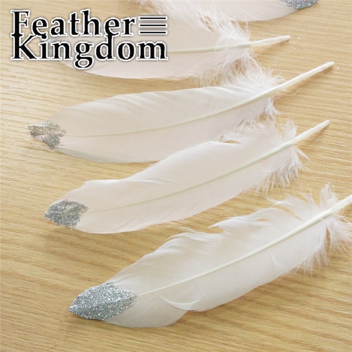 DIY goose feathers (12)