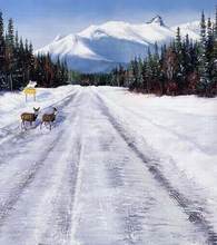 Photo Studio Floor Reindeer Road Snowchristmas Backgroundszz Cm-0204