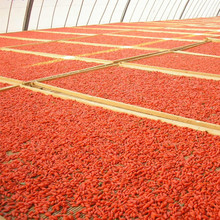 5kg Ningxia pure goji berries certified organic Chinese Medlar, healthy goji berry best food dried fruit in herbal tea wholesale