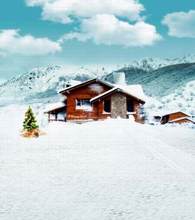 Photo Studio Floor The Christmas Tree Snow Mountain Homeschristmas Backgroundszz Cm-0212