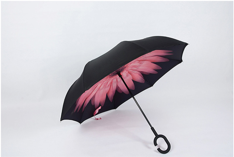 umbrella (19)