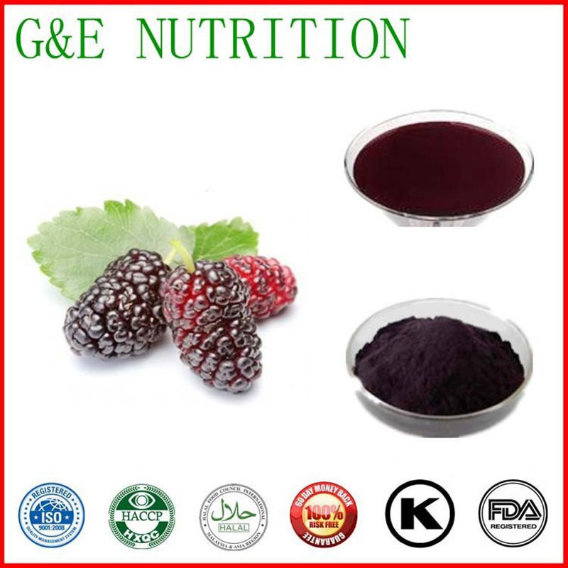 GMP certificate Mulberry Fruit Extract 1000g