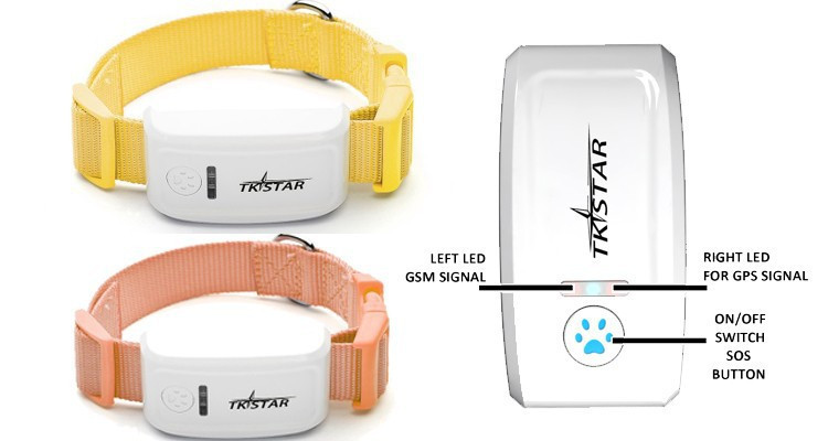 pet gps tracker (1)