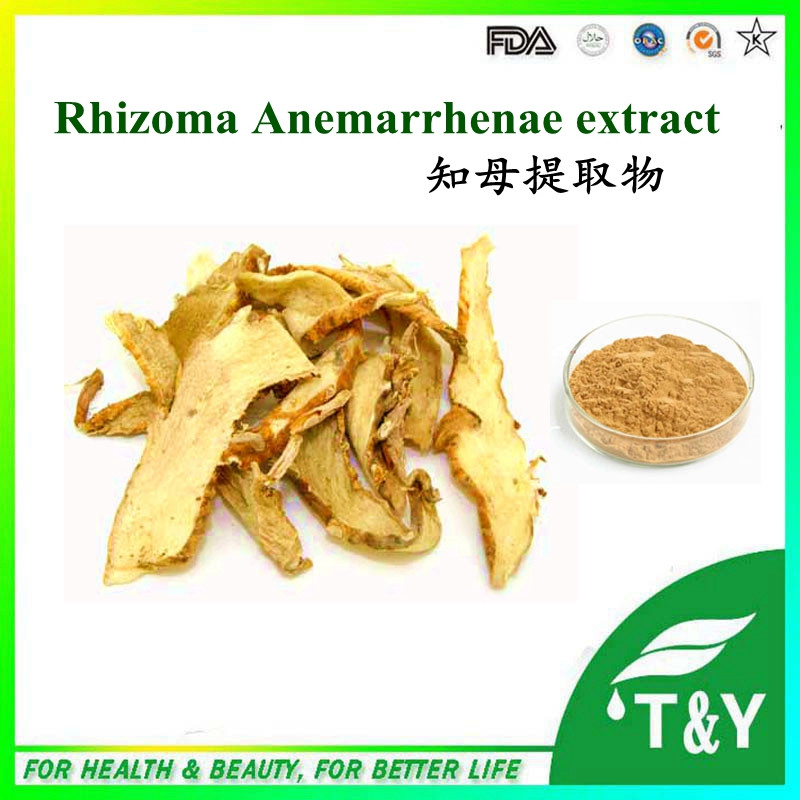 100% Natural 10:1 Rhizoma Anemarrhenae Extract with competitive 700g/lot