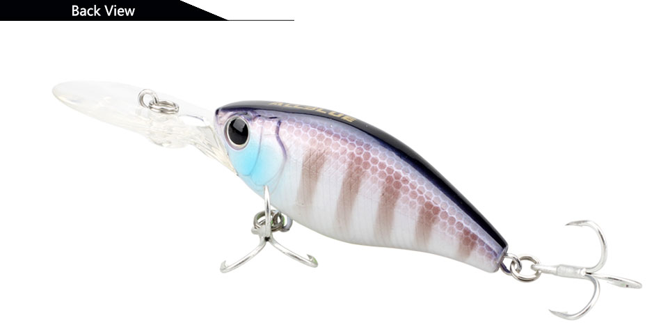 ALLBLUE Suspending Deep Diving Crankbait Fishing Lures (Color C) :  : Sports, Fitness & Outdoors