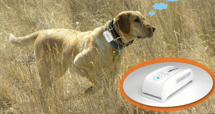 pet gps tracker (5)