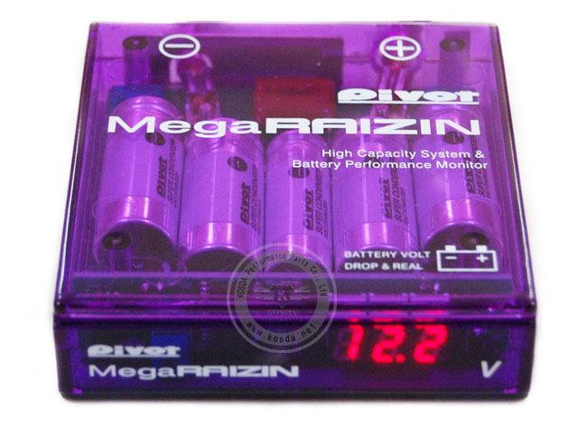 PIVOT Mega RAZIN Voltage Stabilizer 1